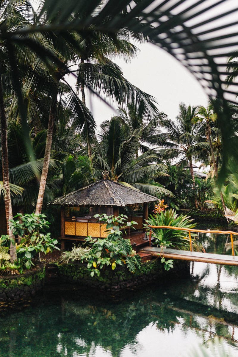 Why Solar Electric Vehicles Might be The Next Generation of EVs